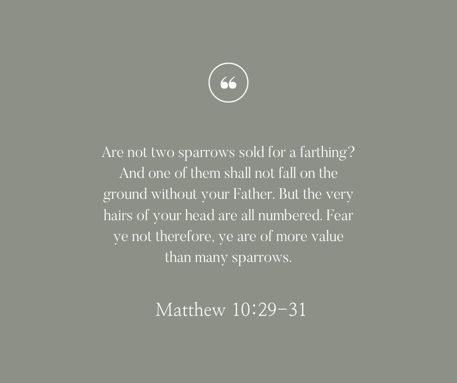 Sage green background with quotation mark at the top, and the bible verse "Are not two sparrows sold for a farthing? And one of them shall not fall on the ground without your Father. But the very hairs of your head are all numbered. Fear ye not therefore, ye are of more value than many sparrows." At the bottom, the reference is Matthew 10:29-31 KJV.